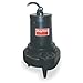 2 HP,Sewage Ejector Pump,460VAC