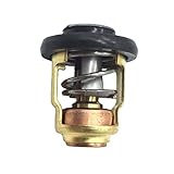 termostato yamaha raptor 660 compatible con F 25 HP (4 tiempos) 1998 y posteriores