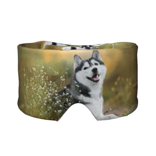 Cute Husky Dogs vg X[v}XN jp \tgACJo[ h  C[}t wbhoh s Q