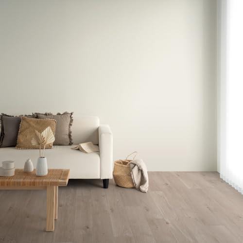 ǎ{ ̂t ǎ c̏ NX n Y25-2951 |[Z j[g  zCg zCgO[ 92cm×mPʁy󒍐YiLZsz