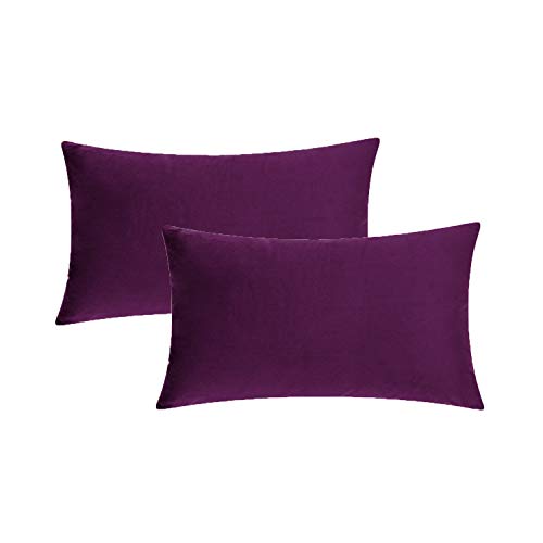 COMFORTLAND 12 x 20 Lumbar Pillow Cases Pack of 2 Solid Soft Velvet