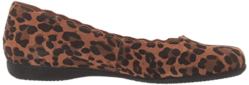 Image of Trotters Sabine