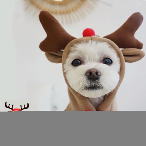 Lpoppcx Rentier Kostüm Für Hunde | Neuheit 3D Rentier Ohren,Weihnachtsoutfit für Hunde,für Geburtstagsfeier und Cosplay für Feiertage und Winter