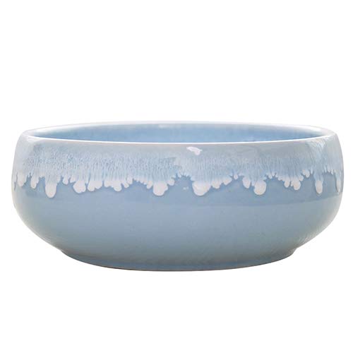 RSGK Succulent Shallow Planter, Ceramic Non-Porous Flowerpot, Water Lily, Water Culture Meatball Narcissus Flowerpot