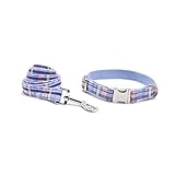 Yisatann Correa para Perros Collar para Collar para Mascotas Collares Ajustables Conjunto de Correa de Plomo Puede Grabar Collares para Perros-XL