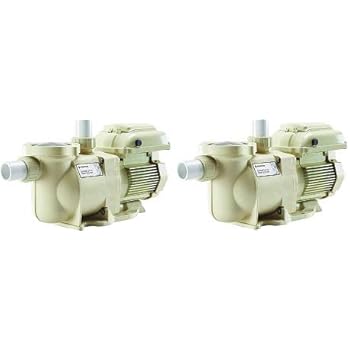 Challenger High Flow Pool Pumps Pentair