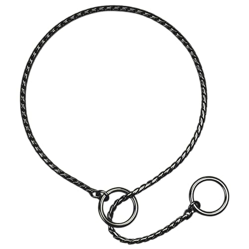 `F[̎ցA^XbvPNg[jOwr[f[eB[̎֎q̎XS^pAXS