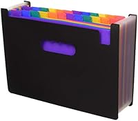 Algopix Similar Product 18 - 24 Pockets Expanding Files Folder A4
