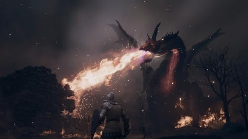 Image of Dragons Dogma 2 Dark Arisen | Standard Edition | Switch 2