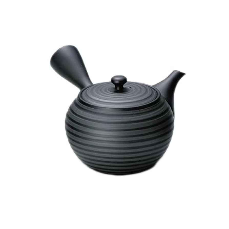 Amazon｜常滑焼3-235宝龍 20号黒泥丸形千段深蒸急須 AM-T120