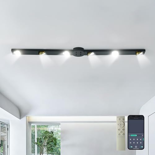 Ganeed Track Lights, 6 Heads Dimmable LED Spot Lights, Flush Mount Ceiling Light with Remote, 360° Flexibly Rotatable Light Chandelier for Bedroom Living Room