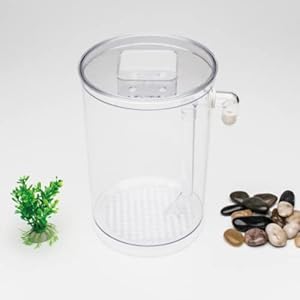 Acquario da Tavolo per pesci Fish Wonder, illuminazione LED, pietre e piante artificiali acqua pulita e chiara Siempre, manutenzione facile e pratico