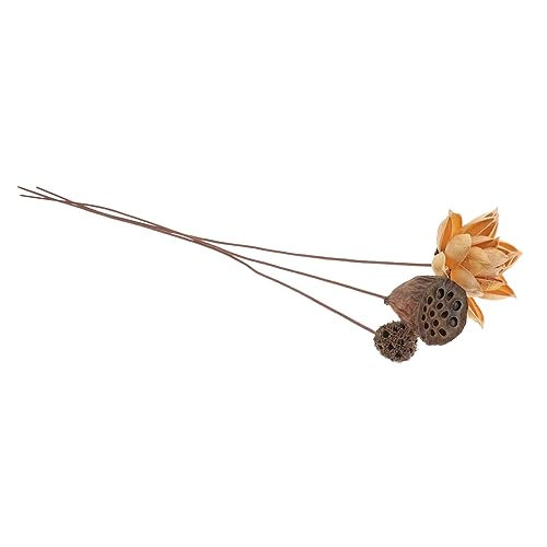 Arreglo de flor de loto seca para decoración zen miniatura 1