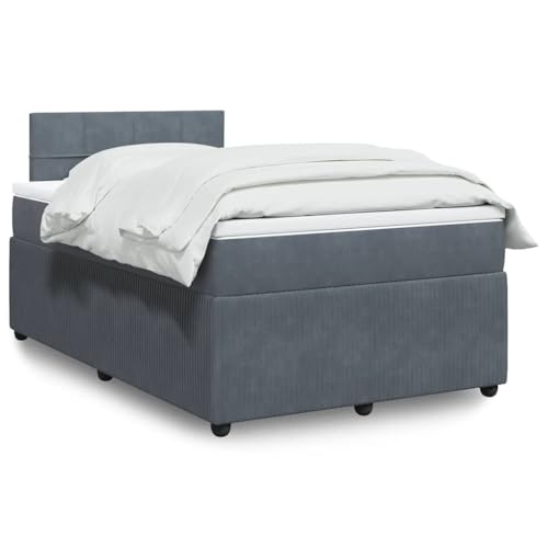 vidaXL Boxspringbett, Doppelbett mit Matratze Matratzenauflage, Bettgestell mit Lattenrost Kopfteil, Polsterbett Bett für Schlafzimmer, Dunkelgrau 120x200cm Samt