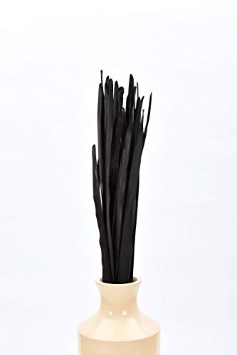 Image of Leewadee Tall Vase Filler, Dried Palm Leaves - 2 Bunches of Colored Decor for Floor Vases, Naturally Dried Arrangements for Vintage Or Modern House Decor, 45 inches, Black Brown