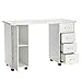 Double Edged Manicure Nail Table,Nail Table Station Desk with 4 Drawers,2 Storage Box,Spa Beauty Salon Nail Art Equipment (White)