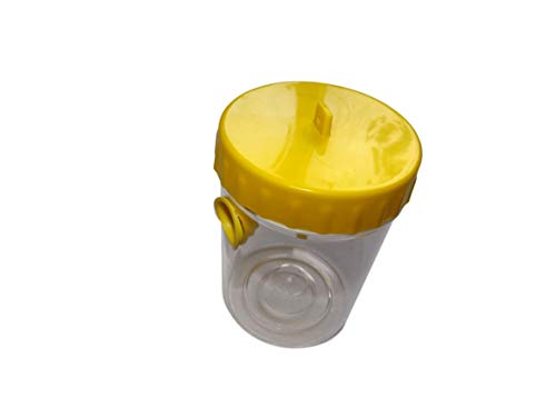 Wasp Trap - Wasps can be a major problem to Honey Bee colonies - A small Beekeepers Wasp Trap
