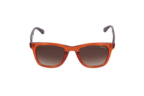 Carrera Unisex Wayfarer Sunglasses2