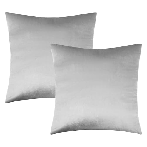 Edegen Silver Grey Velvet Throw Pillow Covers 18x18 Inch Pack of 2 Soft Decorative Square Cushion Covers Modern Luxury Home Decor for Sofa Couch Bedroom Chair Living Room Invisible Zipper
