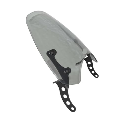 Pare-brise robuste avec support Eliminator 500 2024-2025 finition premium