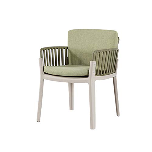 DENGSHENG SHOPS Nordic Ins Wind Fashion Hollow Decoration Thick High Rebound Sponge Cushion and Special Pvc Plastic Frame Chair