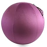 Howdy Bally Protective Cover for Home-Use Yoga/Exercise/Balance Ball with Convenient Carry Handles - Foldable, Durable Anti-Burst Cover for Sitting Ball Chair, Office Use - 55cm