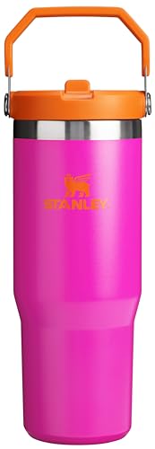 Image of Stanley IceFlow Flip Straw Tumbler 30 oz | Stainless Sreel Vacuum Insulated Water Bottle for Home, Office or Car | Reusable Cup with Straw | Leak Resistant | Vivid Violet