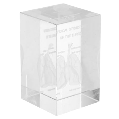 Modèle anatomique pulmonaire 3D en cristal Yarnow cube décoratif pour cabinet médical et maison
