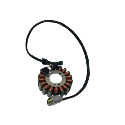 Stator magnéto pour UTV 1000 idéal pour les randonnées extrêmes et le travail 21040109702