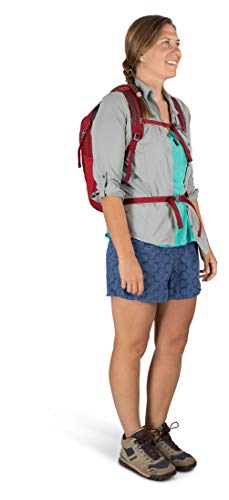Osprey Daylite Daypack , Cosmic Red #TOP4