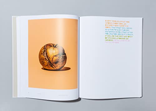 William Mullan: Odd Apples