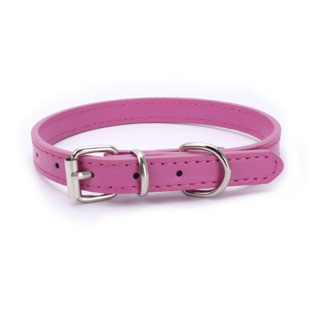 Alloy buckle leather dog collar cat collar size adjustable small and medium dog puppy collar dog supplies