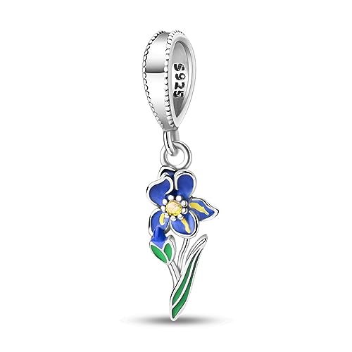 MULA Charms - Abalorio de plata 925 compatible con pulseras europeas y collar para mujeres y niñas, Plata esterlina