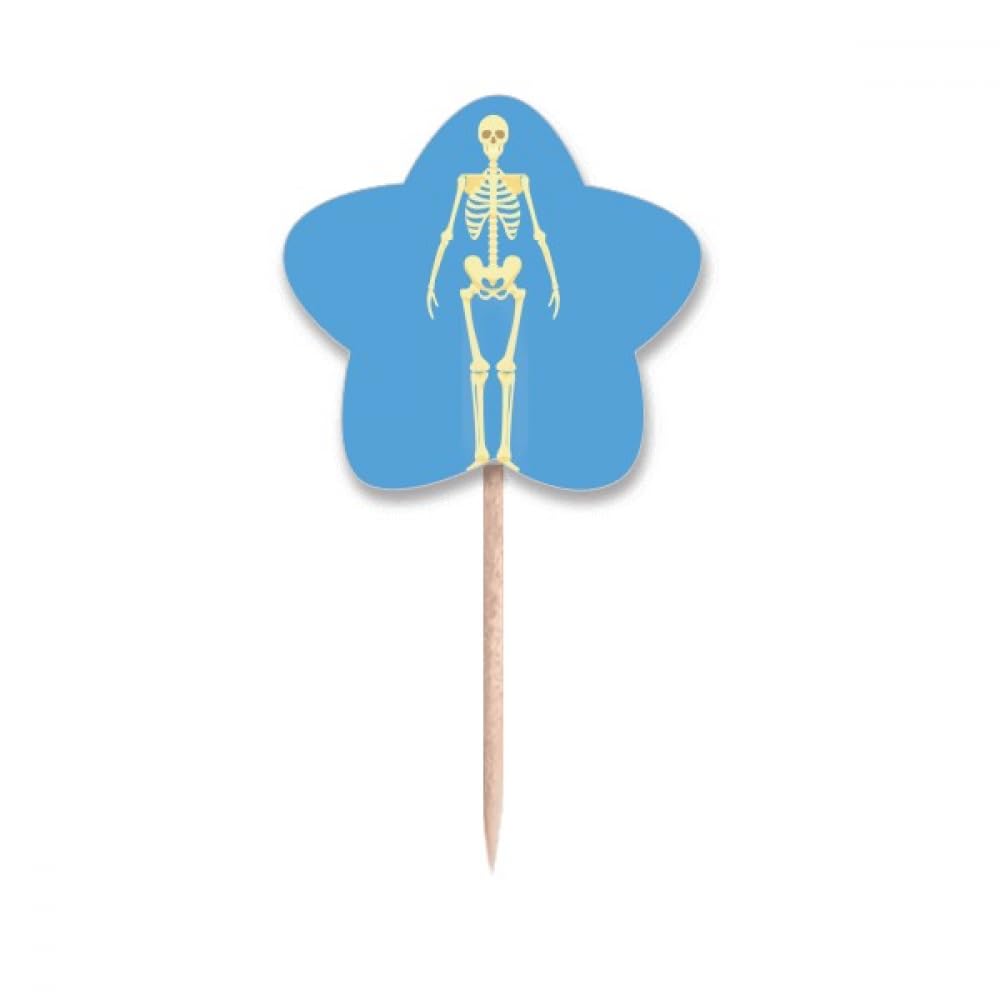 Cure-dents Drapeaux Illustration du Corps Humain pour Déco de Cupcakes
