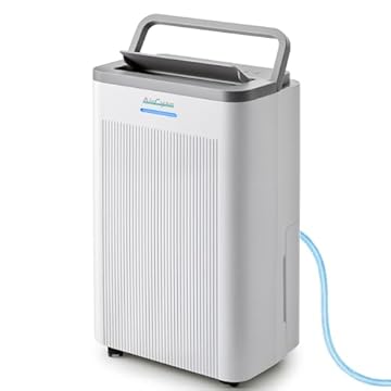 best basement dehumidifier air purifier