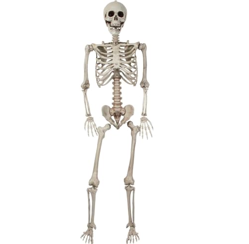 KJOET nEB [  40cm/90cm/165cm/185cmg XPg | ~  | z[ fR[V ͋C_    ƒp X  p[eB[ ̎ nEB ObY (90cm)