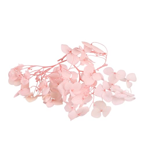 Pétalos secos naturales Hydrangea rosa para decoración