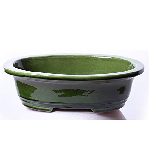 Alfareros Damian Canovas Maceta para Bonsai DE Barro Y ESMALTADA EN Color Verde.Mod. Osaka. Medidas 25X20X7CM.con TU Compra TE REGALAMOS EL Plato.