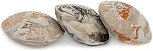 Lot de 3 galets d'argile naturelle