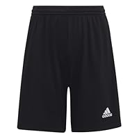 adidas Unisex Kinder Entrada 22 Shorts, Black, 13-14 Years