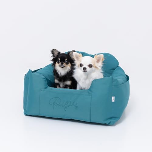 pipi (ss) DRIVE DRIVE (hCuxbh/GhO[) ^ ^   (hCu o|)