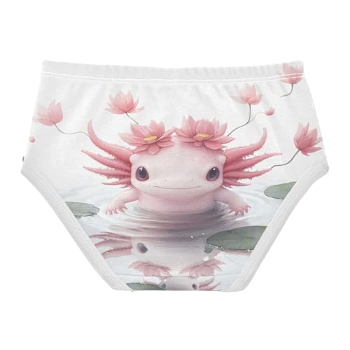 Cute Axolotl Lotus Toddler Girls's Underwear 2T 202b88942