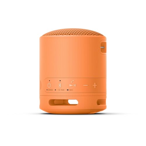 Sony SRS-XB100 Alto-falante portátil sem fio Bluetooth leve e supercompacto, extradurável, IP67, à prova d'água e à prova de poeira, bateria de 16 horas, alça versátil e chamadas sem... glide
