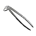 Osung FXX13 Dental Extraction Forceps, X13 Lower 54-45