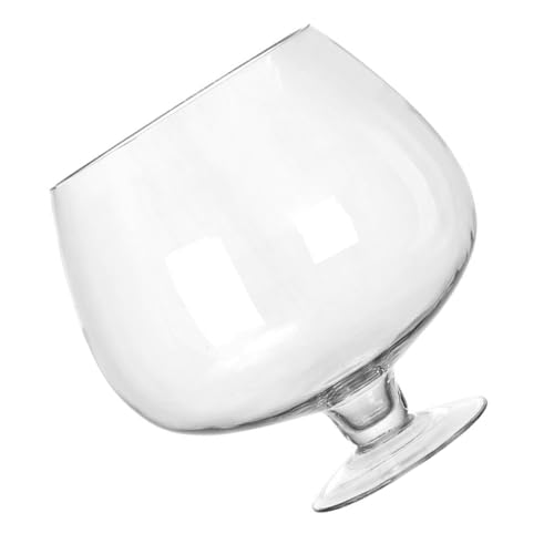 TINEASUR ワイングラスの水槽 魚 エアプランツテラリウム ボウル 戦車 ボトル テラリウム植木鉢 装飾水槽 繊細な水槽 卓上水槽 装飾ベタタンク 水槽と水族館 ガラス Transparent