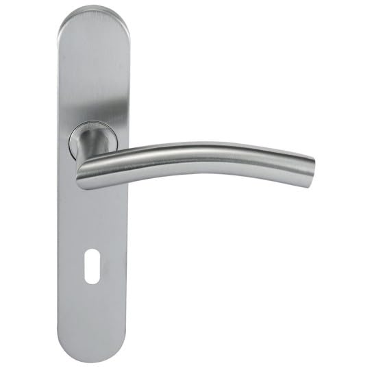 Paire de Poignées de porte KLOSE besser Inox 304 sur Plaque