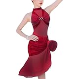 [RIKOUZY] プロ用 競技ダンスウェア レオタード＆スカート 2点セット 女性用 ラテン衣装 シースルーレース 立体テープ裾 ストレッチ 吸汗速乾 ルンバ/チャチャ/サルサ対応 練習 レッスン 社交ダンス(レッドL)