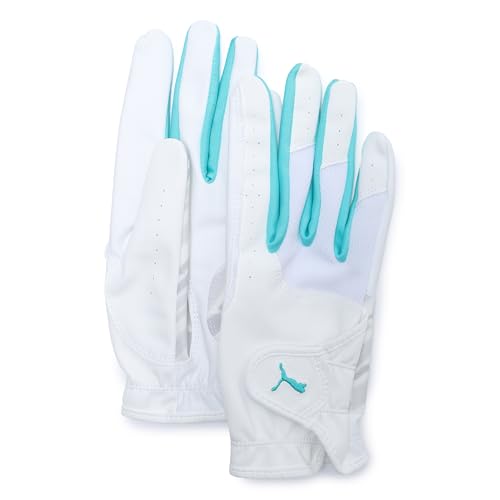 St W PWR Obv O[uij 042111/fB[X/v/Vv