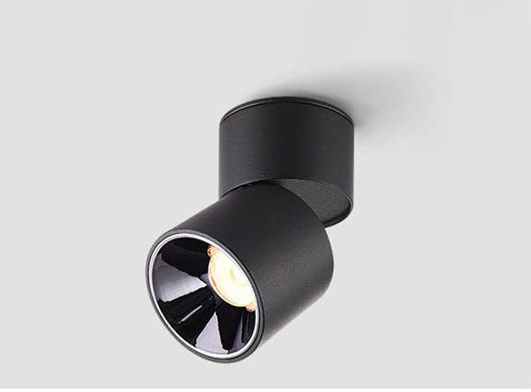 Sponsored Ad - FILLISKA Aluminium 12 Watt 360° Rotatable Led Surface/Spot Light, Black Reflector, Shockproof Alluminium Body & Antiglare Diffuser (Warm White)