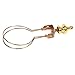Trenton Gifts Decorative Dome Cover for Ceiling Light Fixture, Hanging Home Decor with Clip